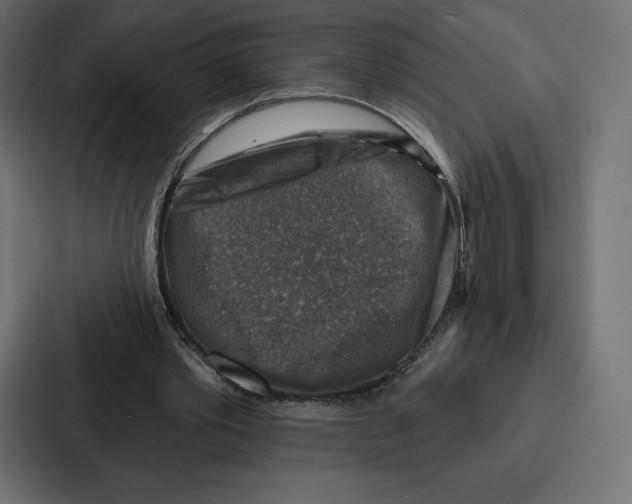 X0000086800389200705111839