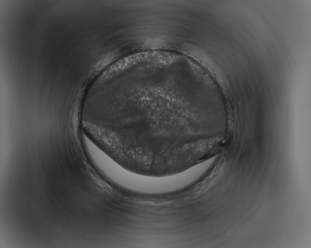 X0000086800393200705111839