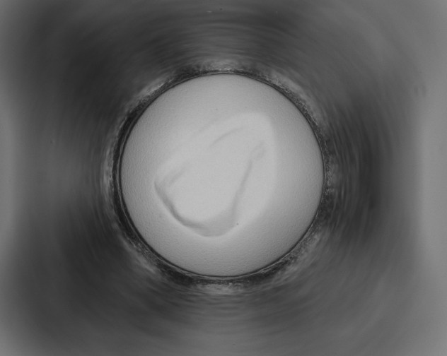 X0000086800394200705111839