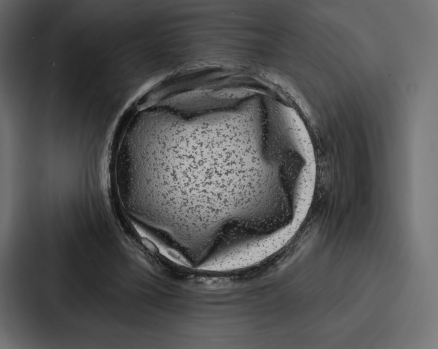 X0000086800395200705111839