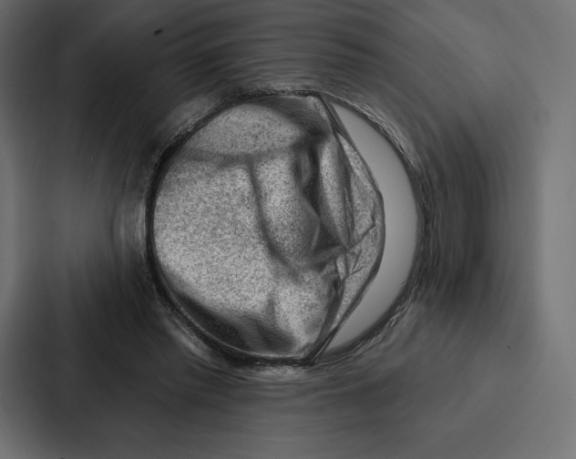 X0000086800397200705111839
