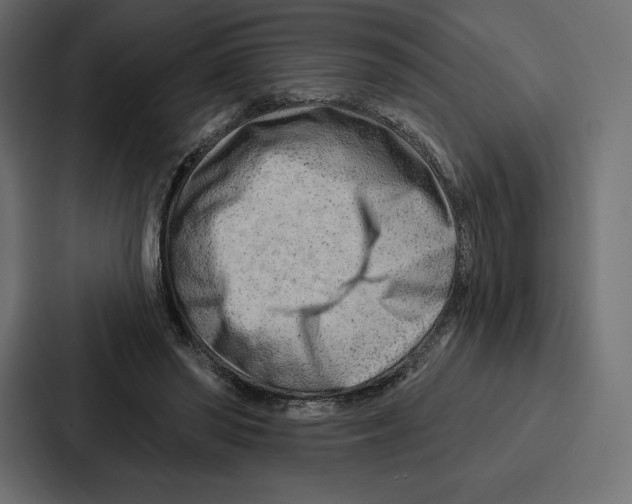X0000086800398200705111839