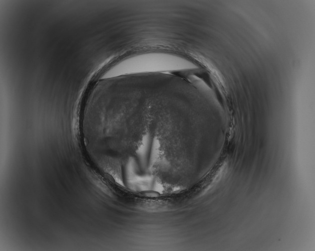 X0000086800399200705111839