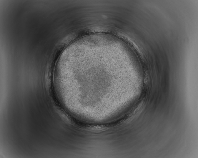 X0000086800402200705111839