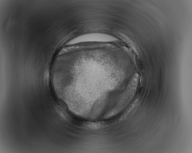 X0000086800405200705111839