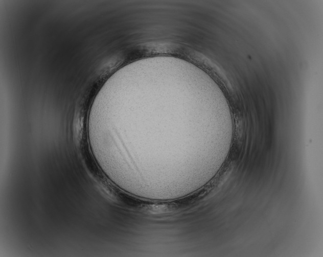 X0000086800406200705111839