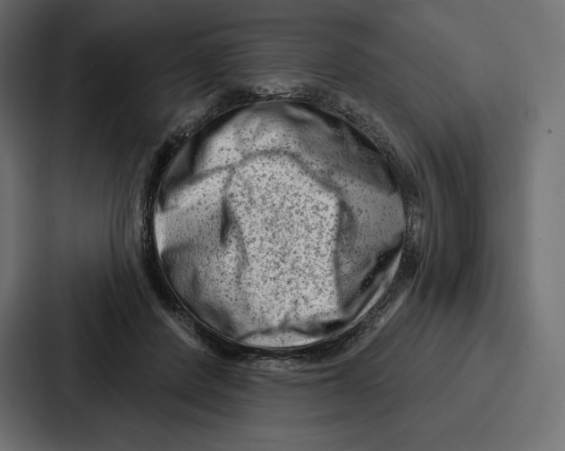 X0000086800408200705111839