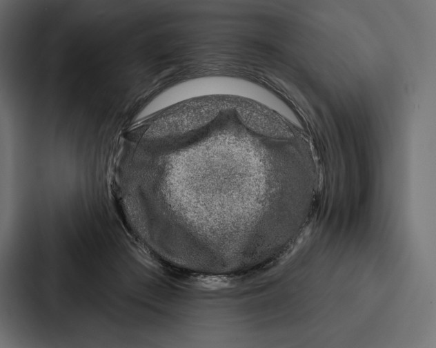 X0000086800409200705111839