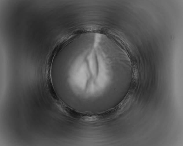 X0000086800411200705111839