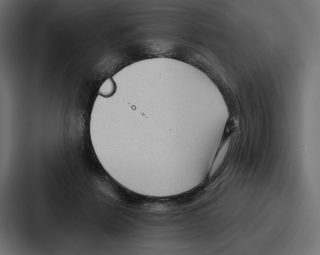 X0000086800412200705111839