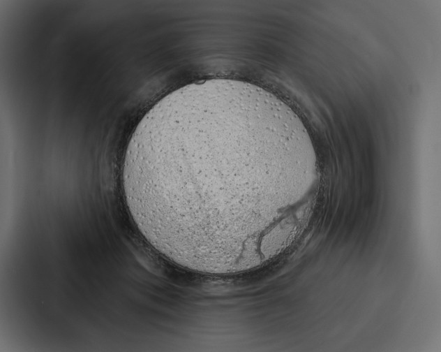 X0000086800413200705111839