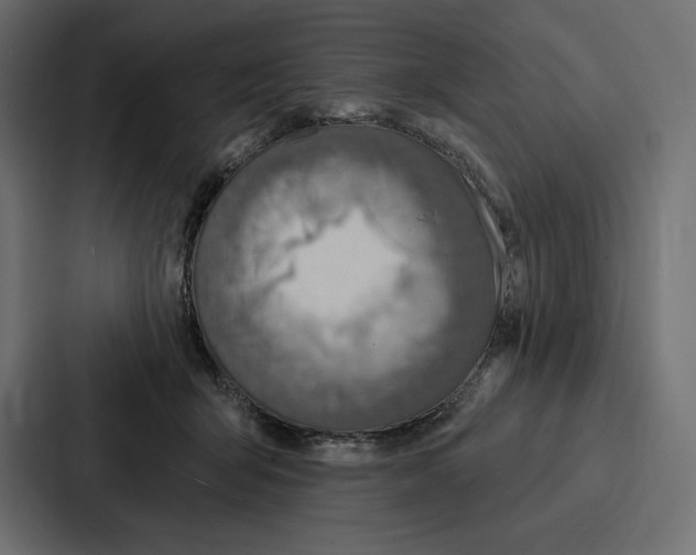 X0000086800415200705111839
