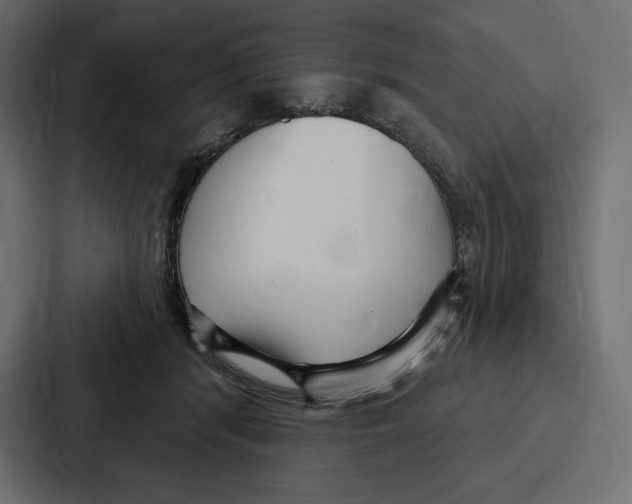 X0000086800416200705111839