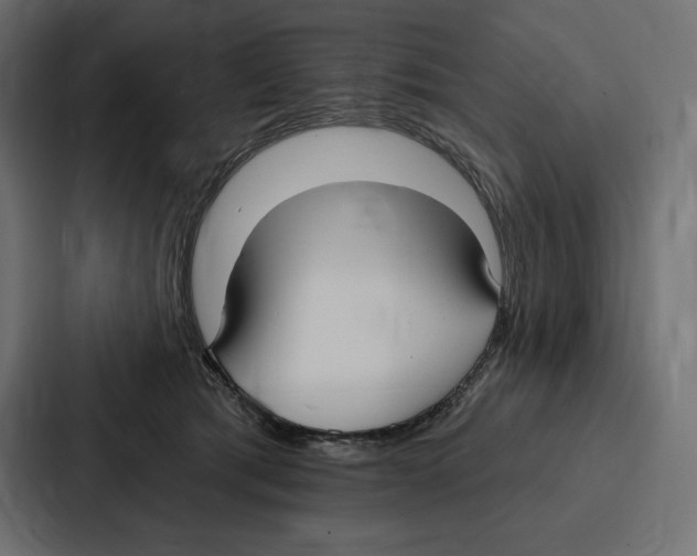 X0000086800417200705111839