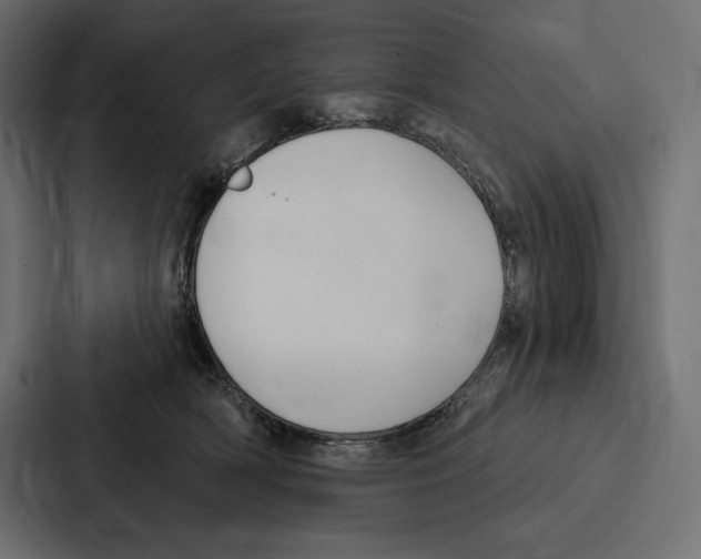 X0000086800418200705111839