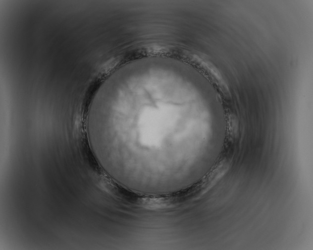 X0000086800419200705111839