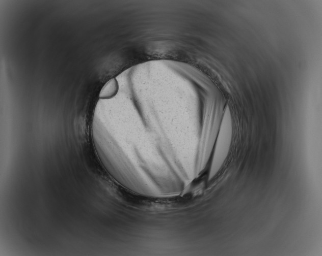 X0000086800420200705111839