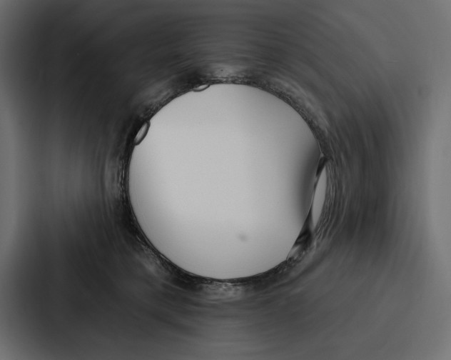 X0000086800421200705111839