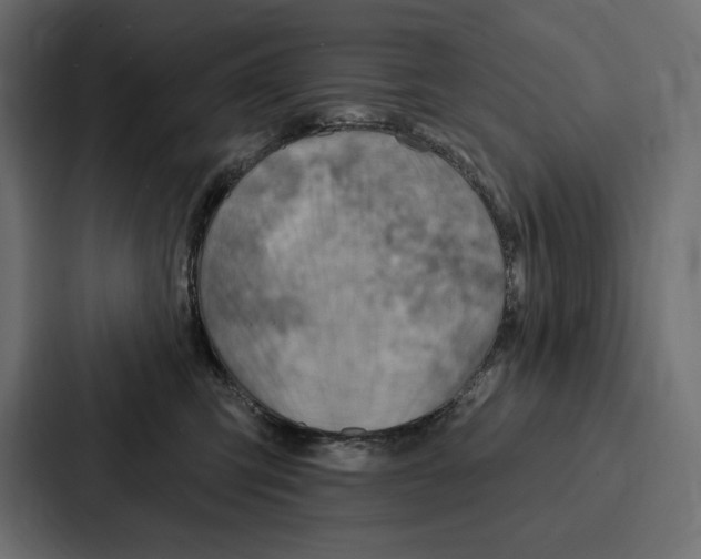 X0000086800423200705111839