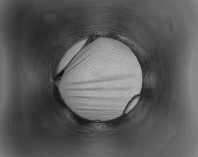 X0000086800424200705111839