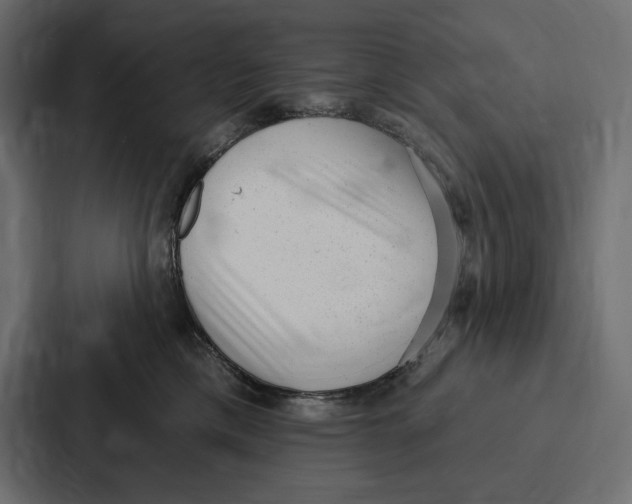 X0000086800425200705111839