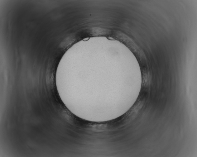 X0000086800426200705111839