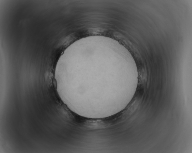 X0000086800427200705111839