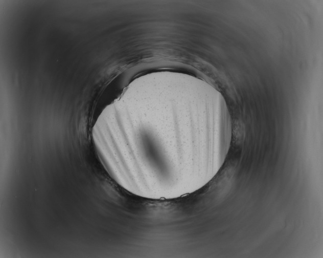 X0000086800428200705111839