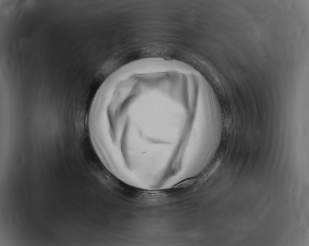X0000086800429200705111839