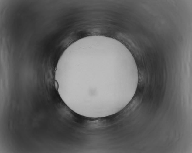 X0000086800430200705111839