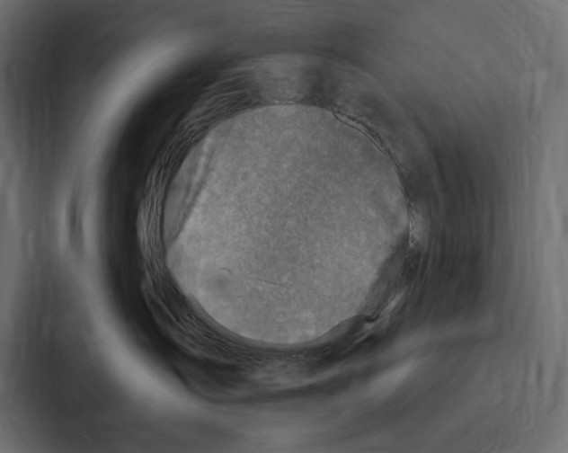 X0000086800431200705111839