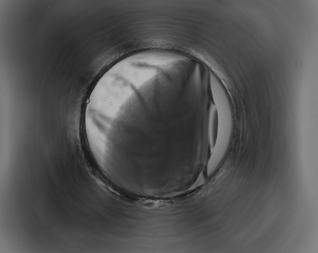 X0000086800434200705111838