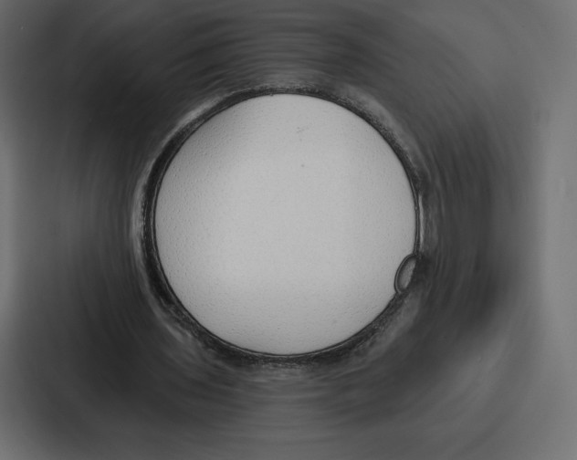 X0000086800435200705111838