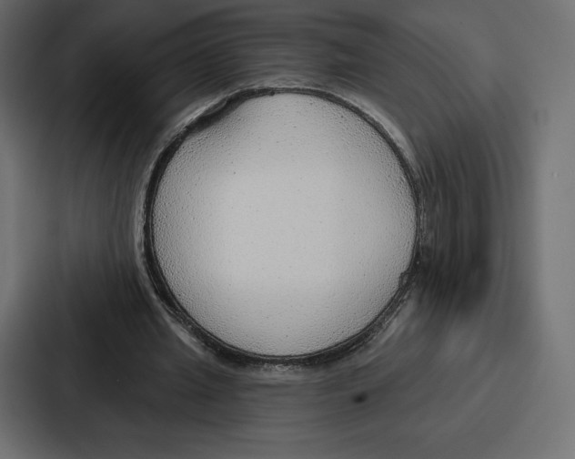 X0000086800437200705111838