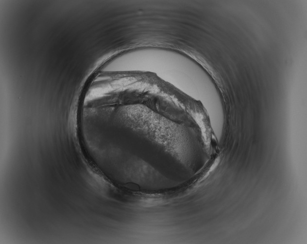 X0000086800438200705111838