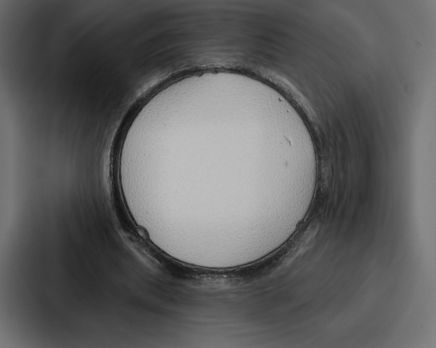 X0000086800439200705111838