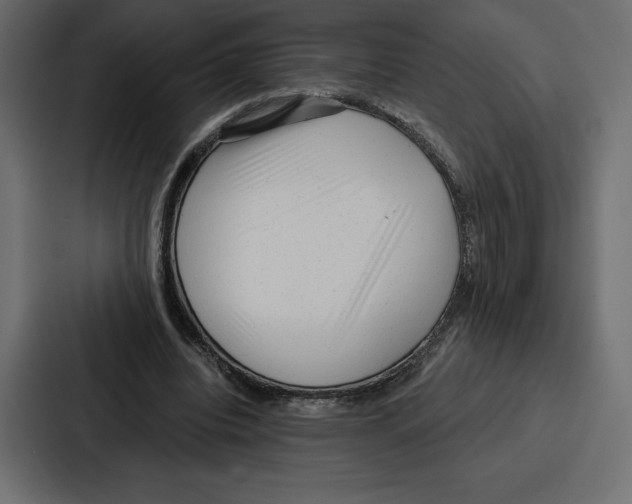 X0000086800440200705111838