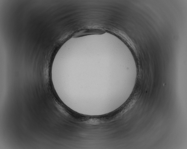 X0000086800441200705111838