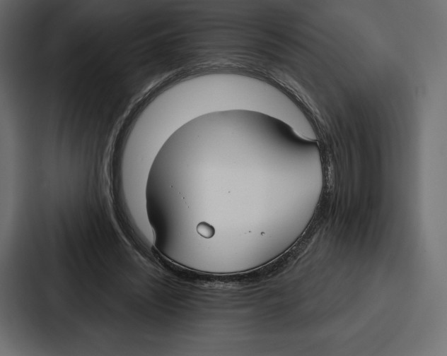 X0000086800444200705111838