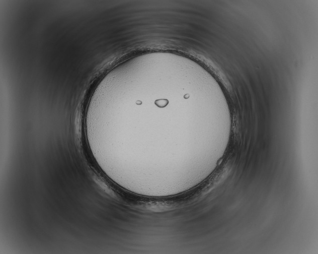 X0000086800445200705111838