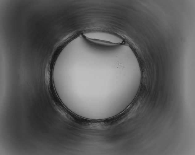 X0000086800446200705111838