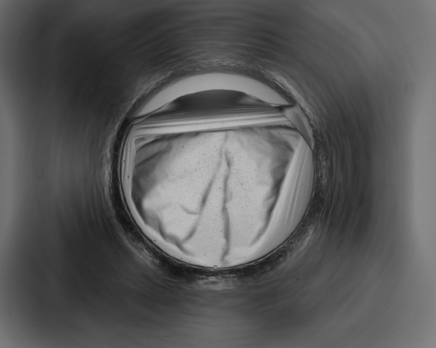 X0000086800447200705111838
