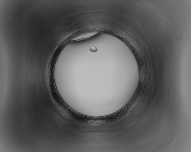 X0000086800448200705111838