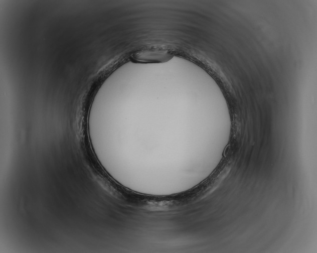 X0000086800450200705111838