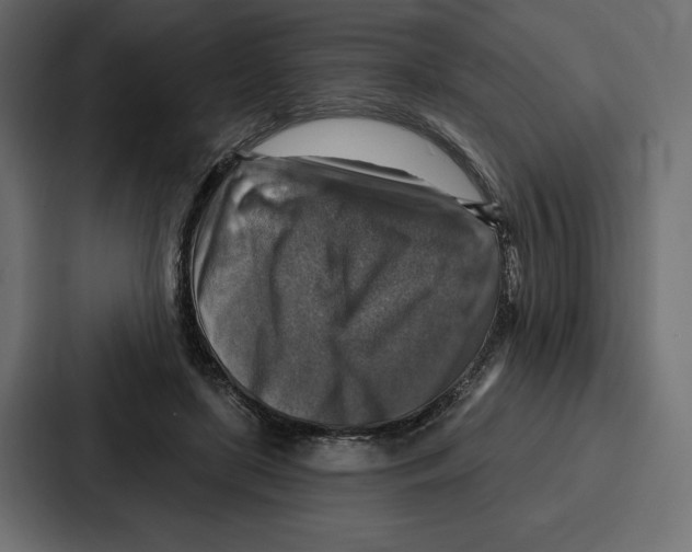X0000086800451200705111839