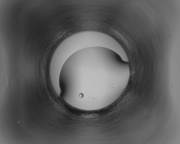 X0000086800452200705111839