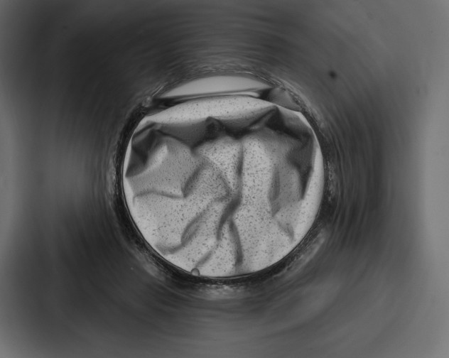 X0000086800453200705111839