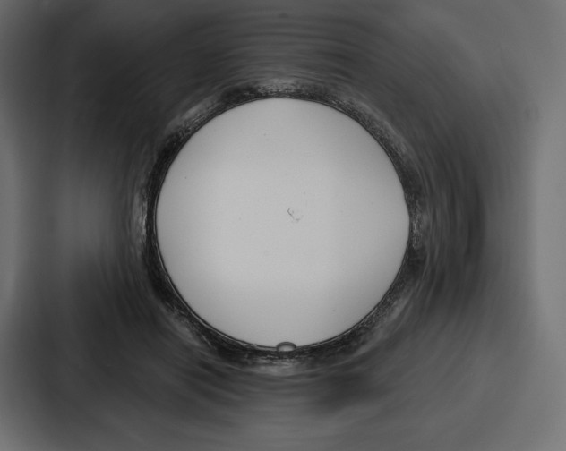 X0000086800454200705111839