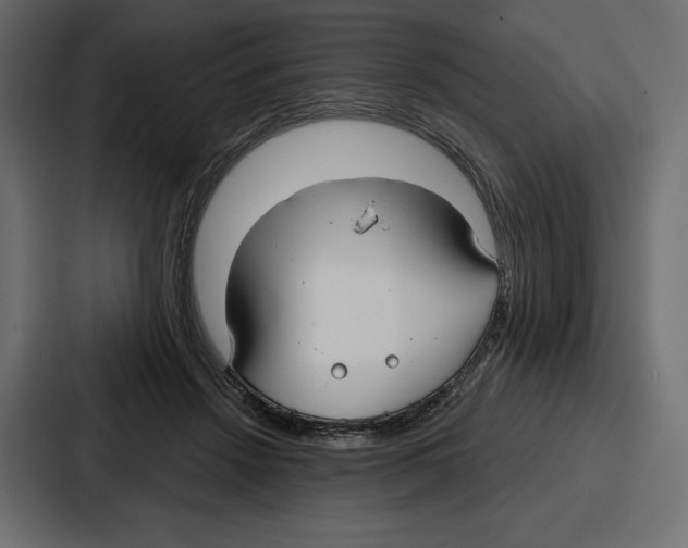 X0000086800456200705111839