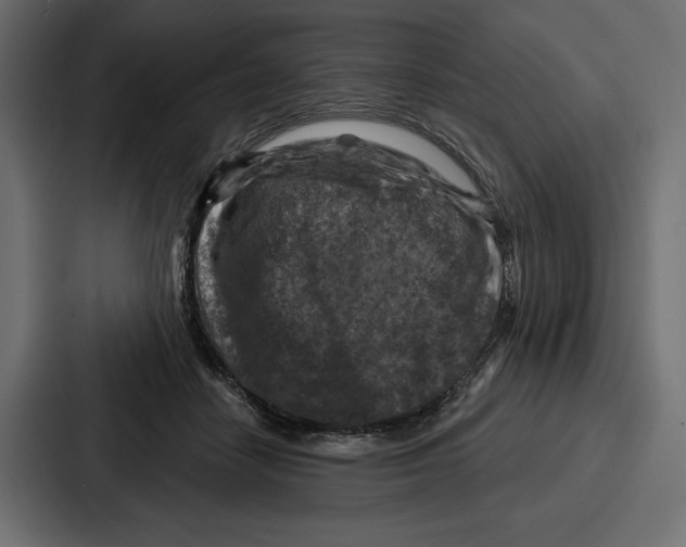 X0000086800458200705111839